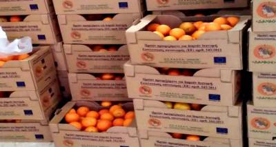 Δωρεάν διανομή φρούτων σε οικογένειες της Λήμνου