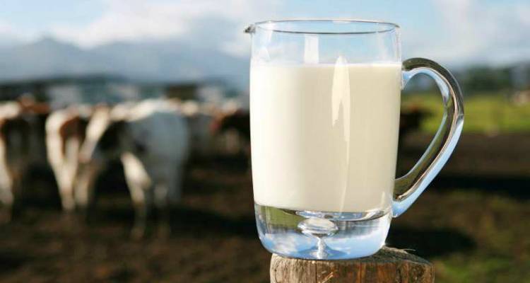 Καθορίστηκε το ύψος ενίσχυσης για το γάλα στα μικρά νησιά του Αιγαίου