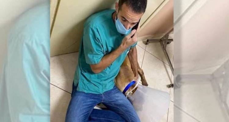 «Σοκαριστικό θέαμα» λέει ο κτηνίατρος που έσωσε τον σκύλο στα Χανιά | «Αν αργούσε πέντε λεπτά, δεν θα ζούσε»